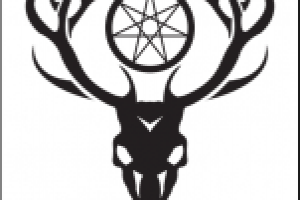 Работа 3086780