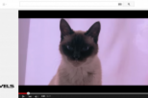 Проба 2. Работа с цветом, тоном, съемкой.