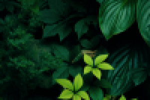 В зеленых тонах