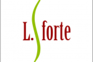 Работа 1213038