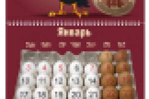 Работа 1213243