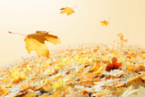 Работа 2706399