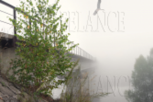 Работа 2413798