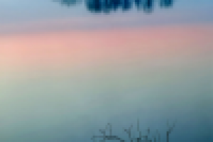 Работа 2413796