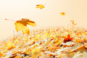 Планета осенних листьев