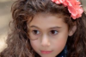 Работа 2426656