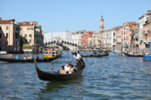 Работа 2412560