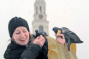 Богомолица