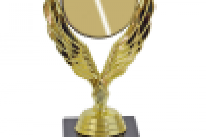 Работа 2419867