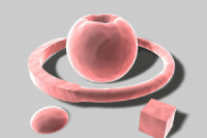 Работа 3099967