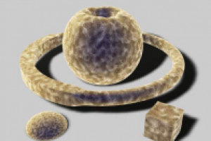 Работа 3099948