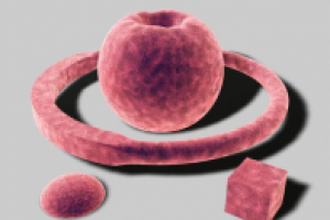 Работа 3099947