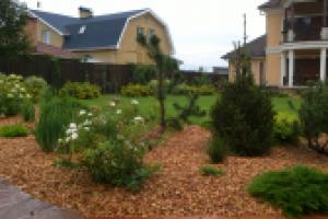 Визуализация и создание ландшафтного дизайна в 3D