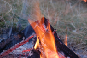 Работа 2893847