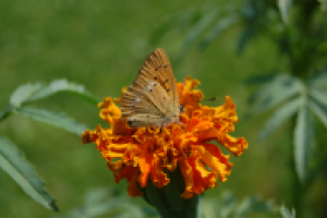 Работа 2893846