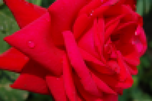 Работа 2893845