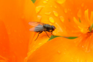 Работа 2893843