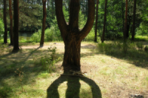 Работа 2893783