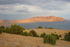 Работа 2893778