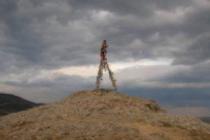 Работа 2893772