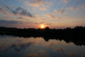 Работа 2893774