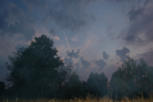 Работа 2893753