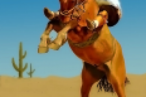 Лошадь и всадник