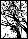 img400975.png