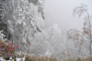 Магия белого