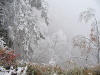 img627016.png