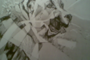 Работа 1436574