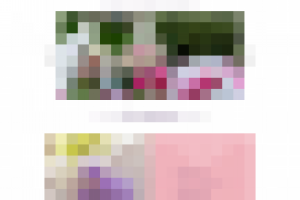 Paradise - свадебные аксессуары