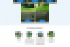 Газон под ключ