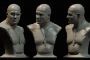 Фёдор Емельяненко. Завершенный бюст.