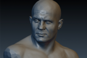 Фёдор Емельяненко , бюст№2, работа в процессе ,Blender.Sculpti