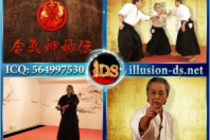 Aikishinmyoden