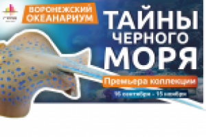 Билборд Воронежский океанариум