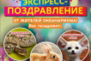 Работа 2924319