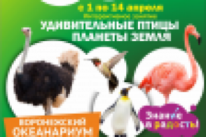 Работа 2924315