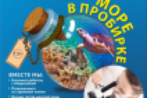 Работа 2924310