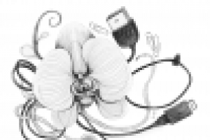 Обложка книги Елены Шевченко "Безалкогольная зависимость"