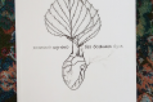 Обложка книги Людмилы Шутько "без больших букв"