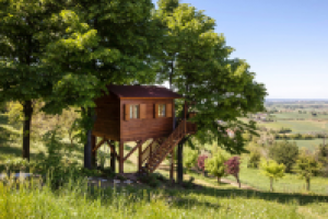 Дома на деревьях