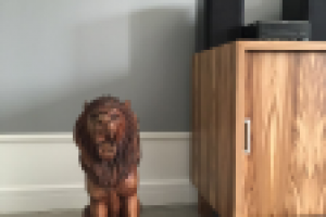 Частный дом. Поселок Опушкино.