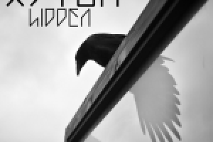 МУЗЫКА для проекта  XYTUM