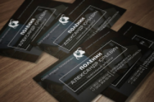 Визитка для генерального директора "Поленима Александра"