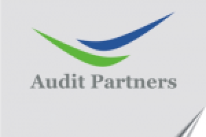 Audit Partners