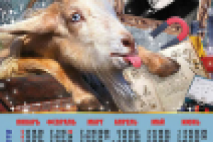 календарь А2 настенный