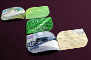 Каталог линии ортопедических матрасов «Herbalis»