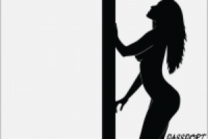 Обложка на паспорт. Девушка